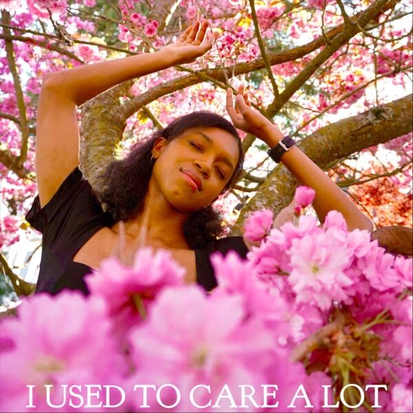 Cover art for I Used to Care a Lot